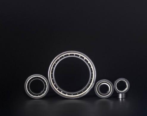 高速電機(jī)軸承 高速電機(jī)軸承